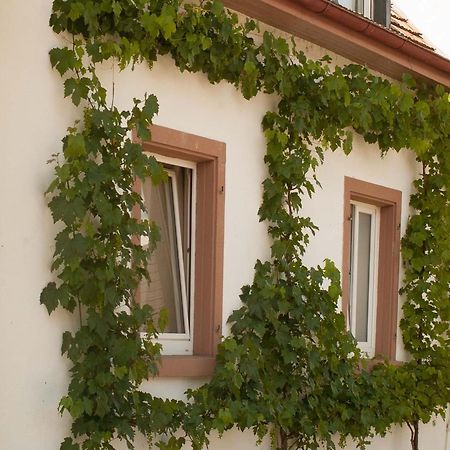 Ferienhaus Am Kuenstleratelier Riegel Bagian luar foto