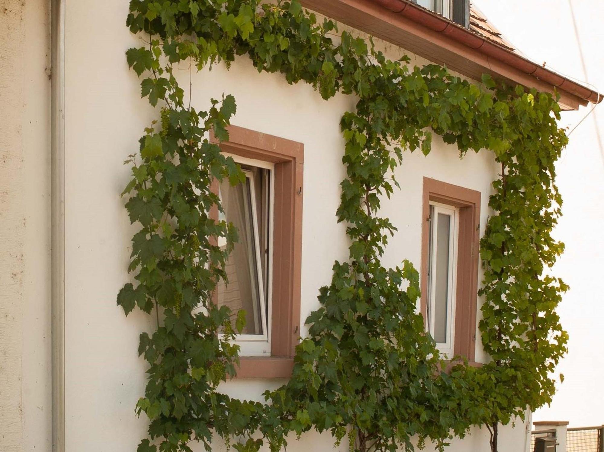 Ferienhaus Am Kuenstleratelier Riegel Bagian luar foto
